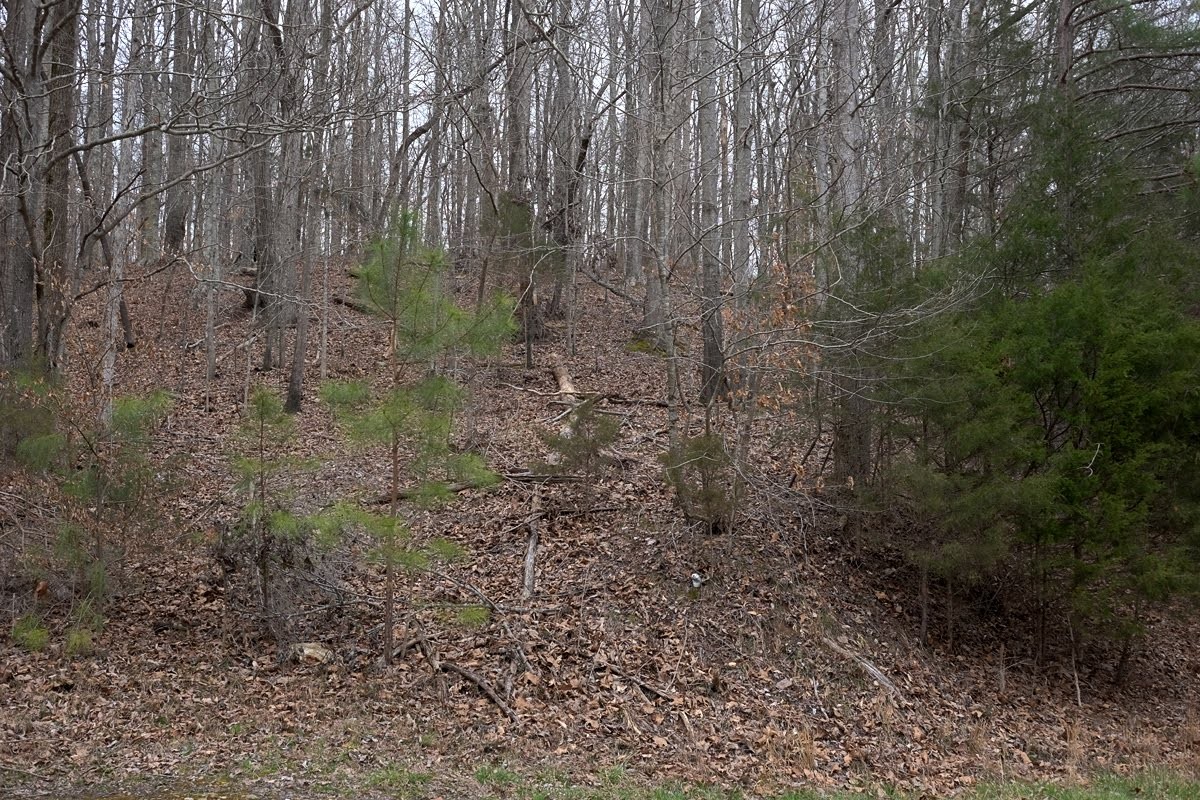 0 Panhandle Road Wartrace, TN 37183 - Photo 3 of 3 Gallery Image 3