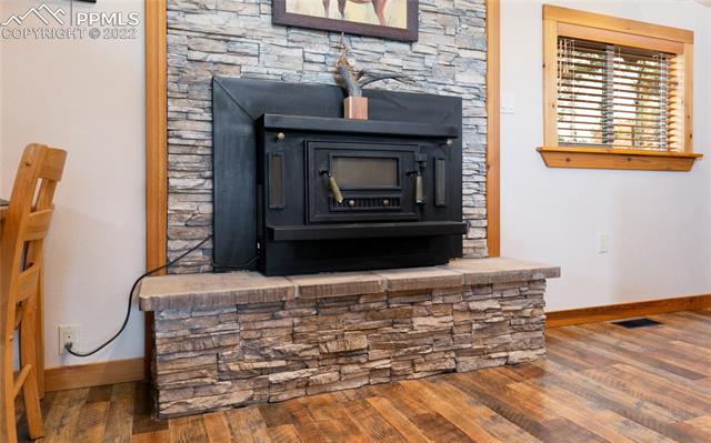 113 Spring Valley Circle Divide, CO 80814 - Photo 8 of 23 Gallery Image 8