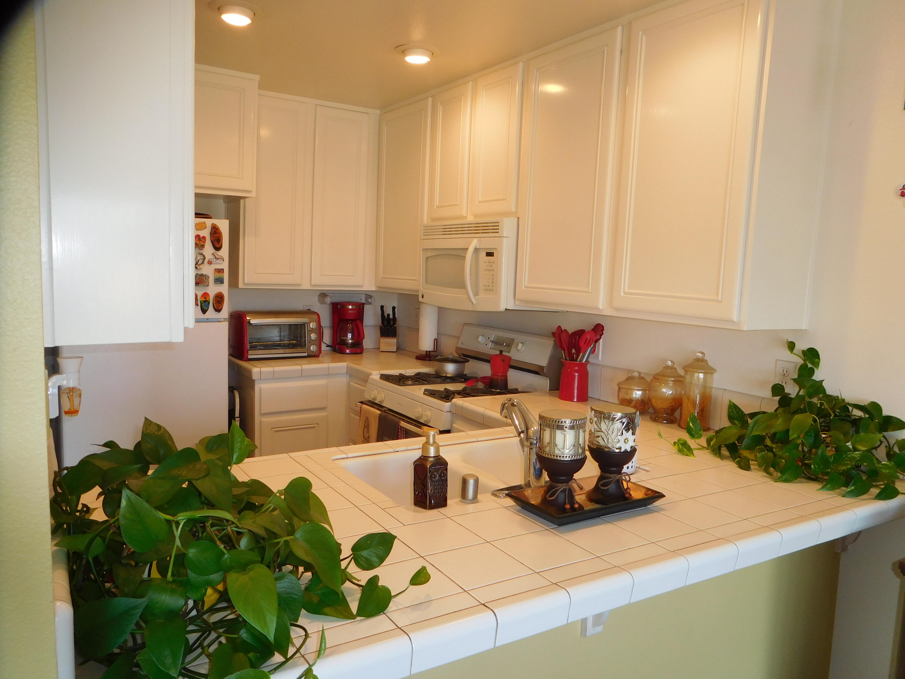 7031 Marymount Way Goleta, CA 93117 - Photo 3 of 9 a living room with furniture and a potted plant