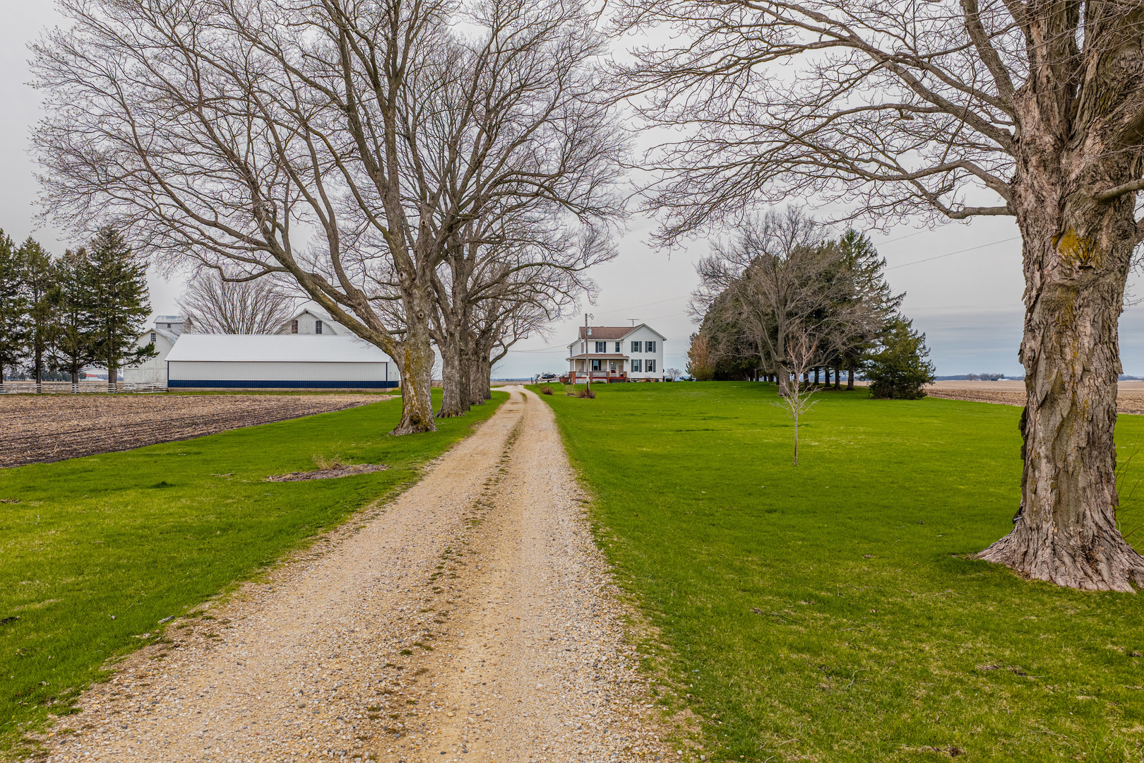 16606 West Backbone Road Princeton, IL 61356 - Photo 3 of 40 a view of a park with large trees