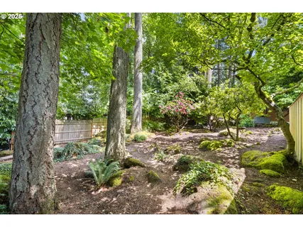 a backyard of a house with lots of green space