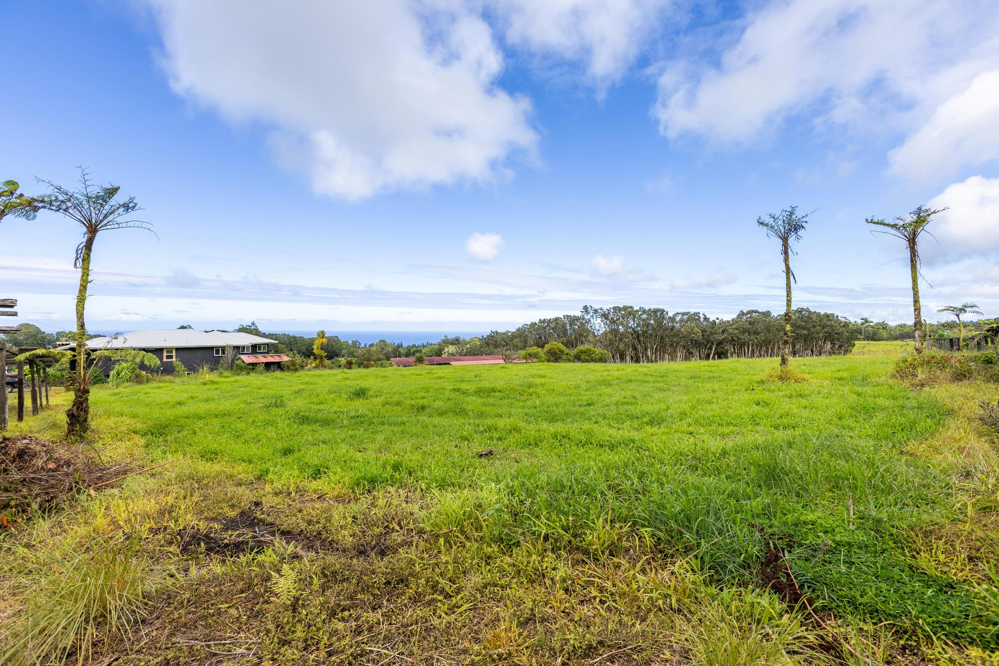Lot F Chin Chuck Road Papaikou, HI 96781 - Photo 6 of 11