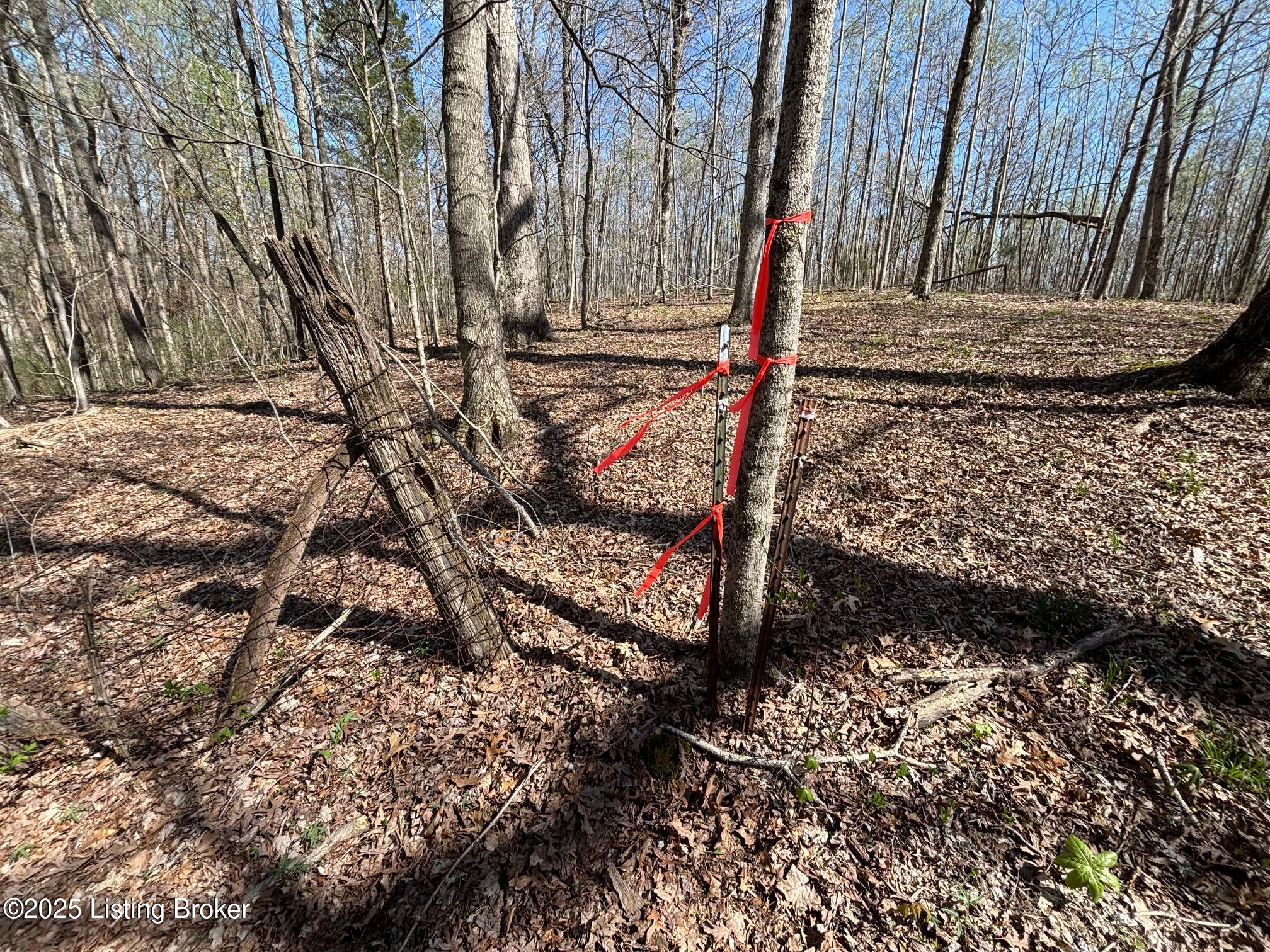 523 Roach Road Webster, KY 40176 - Photo 22 of 22 IMG_2610