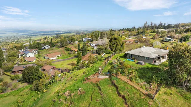 an aerial view of residential houses with outdoor space and trees