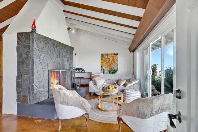 a view of a garden with plants