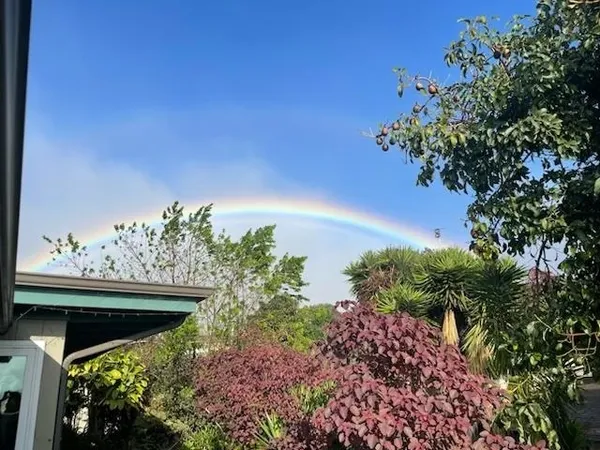 a view of a yard with a house