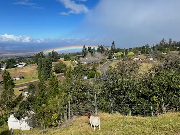 a view of a glass door and porch