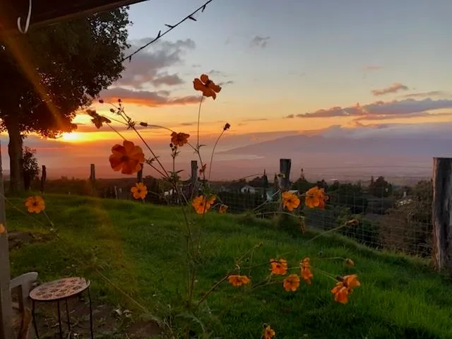 $2,160,000 | 712 Upper Kimo Drive, Kula, HI 96790