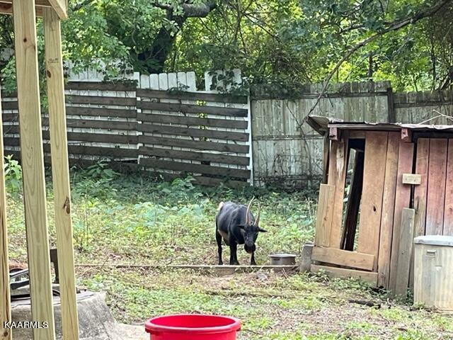 170 Spears Road Friendsville, TN 37737 - Photo 22 of 30 Free Goats!