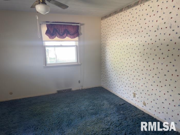 18609 Locust Street Trivoli, IL 61569 - Photo 12 of 31 Gallery Image 12