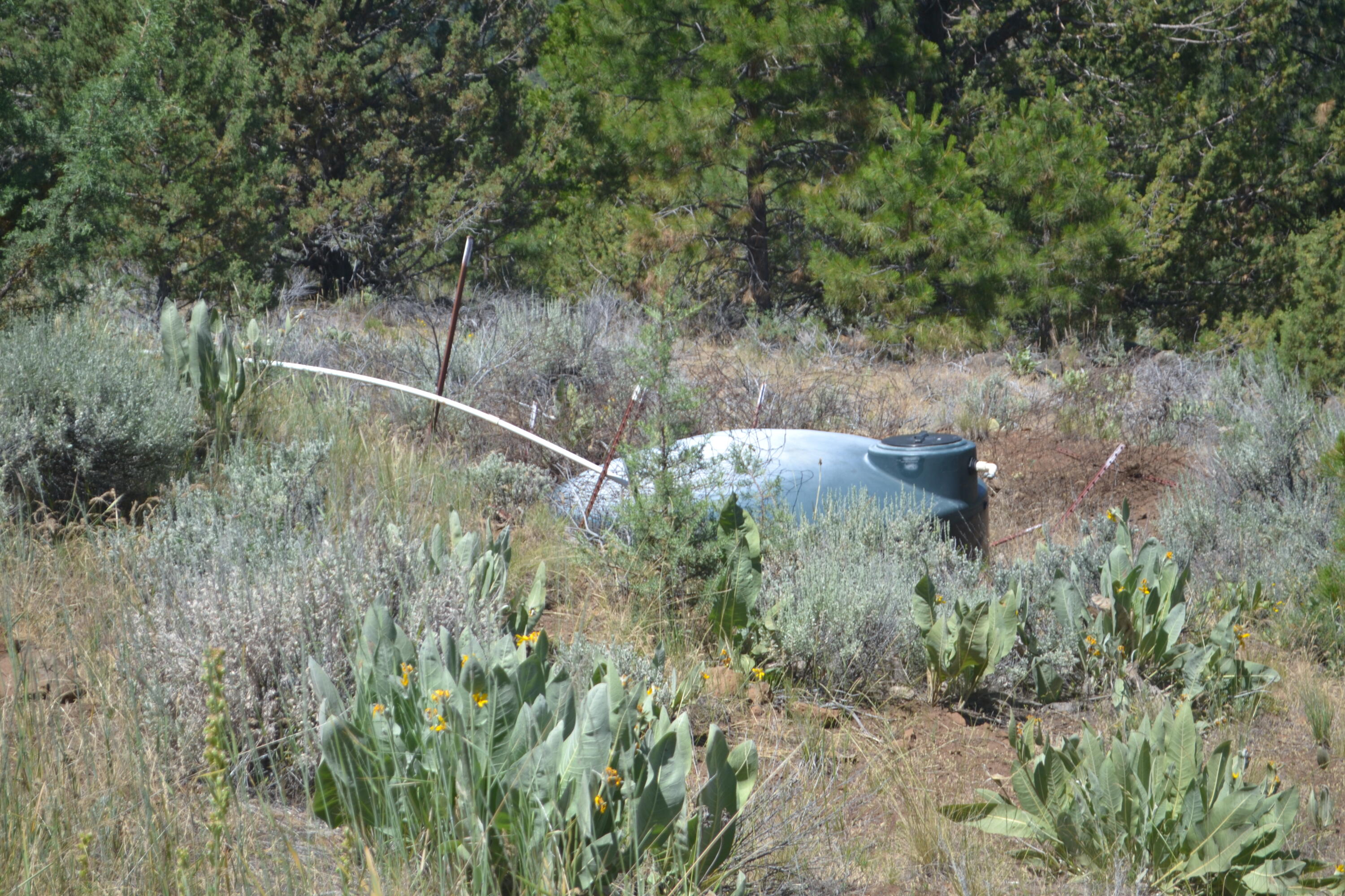 542-405 Punkin Center Road Bieber, CA 96009 - Photo 99 of 127 Water Storage (2)