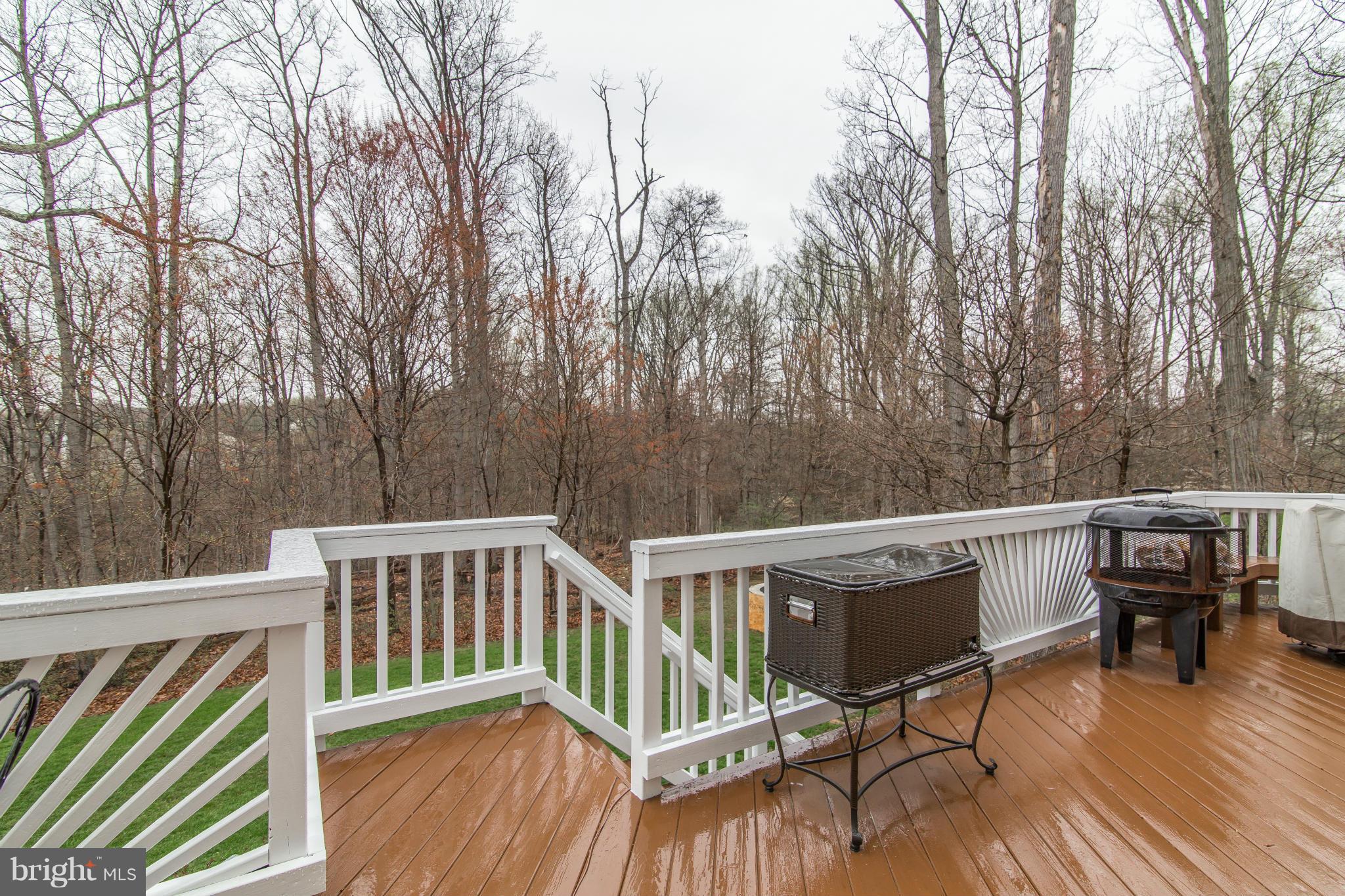 13833 Lullaby Road Germantown, MD 20874 - Photo 13 of 28 Exterior (Rear)