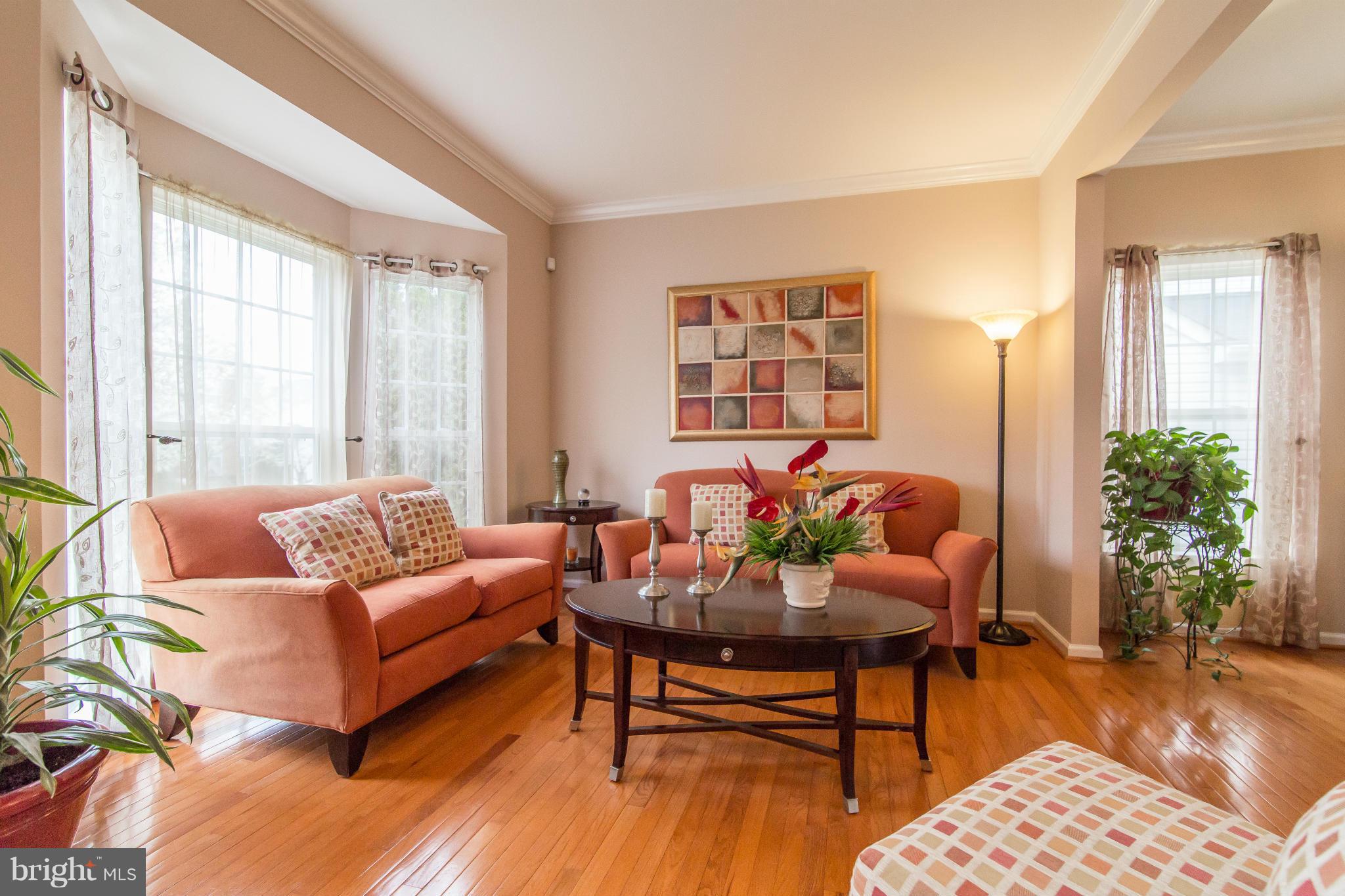 13833 Lullaby Road Germantown, MD 20874 - Photo 3 of 28 Living Room