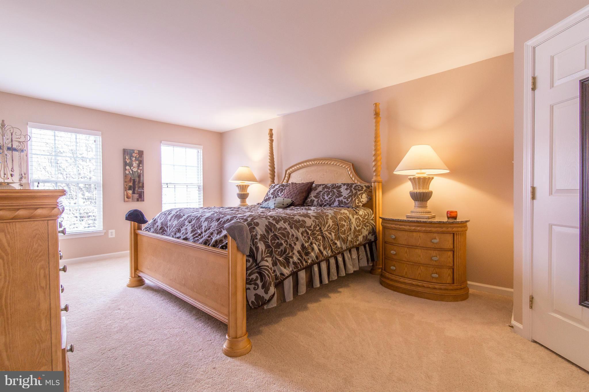 13833 Lullaby Road Germantown, MD 20874 - Photo 23 of 28 Bath (Master)