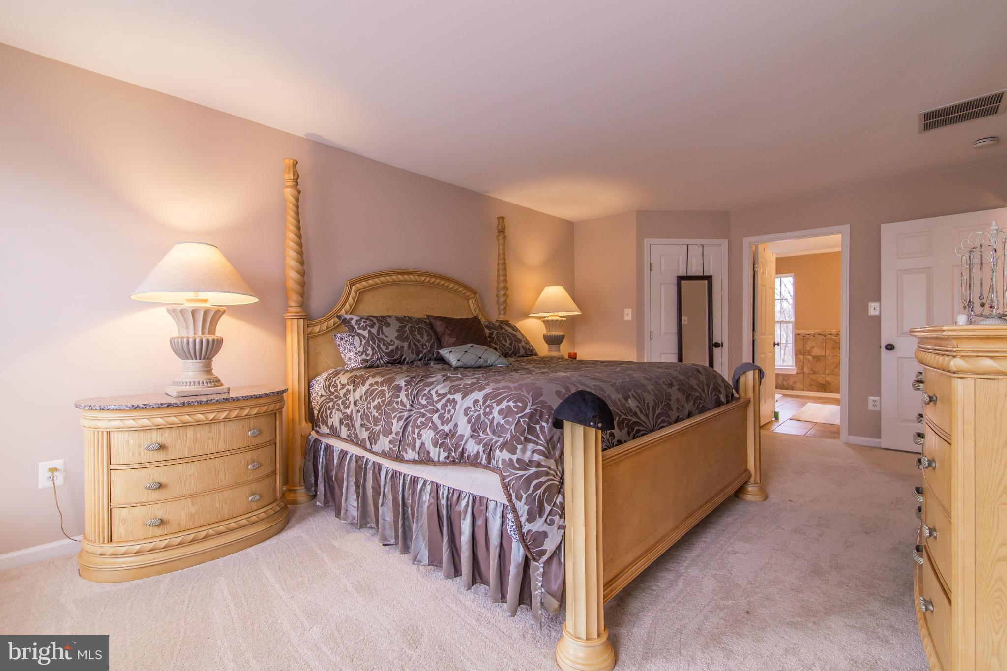 13833 Lullaby Road Germantown, MD 20874 - Photo 24 of 28 Bedroom (Master)