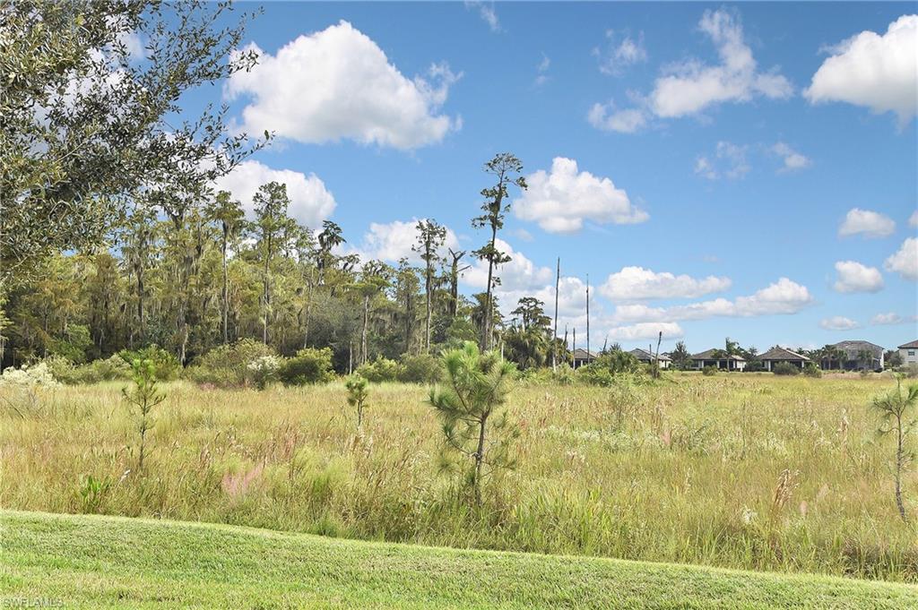 19375 Elston Way Estero, FL 33928 - Photo 49 of 50 a view of a lake with a big yard