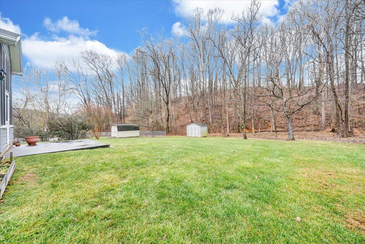 4202 Daugherty Road Salem, VA 24153 - Photo 31 of 38 a garden view