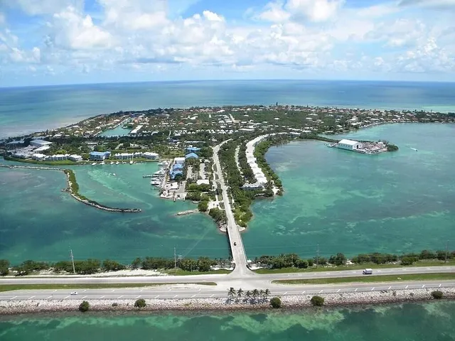an aerial view of a city with lots of residential buildings and ocean view in back