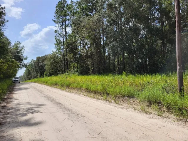 $17,000 | Northeast 78th Lane, Bronson, FL 32621