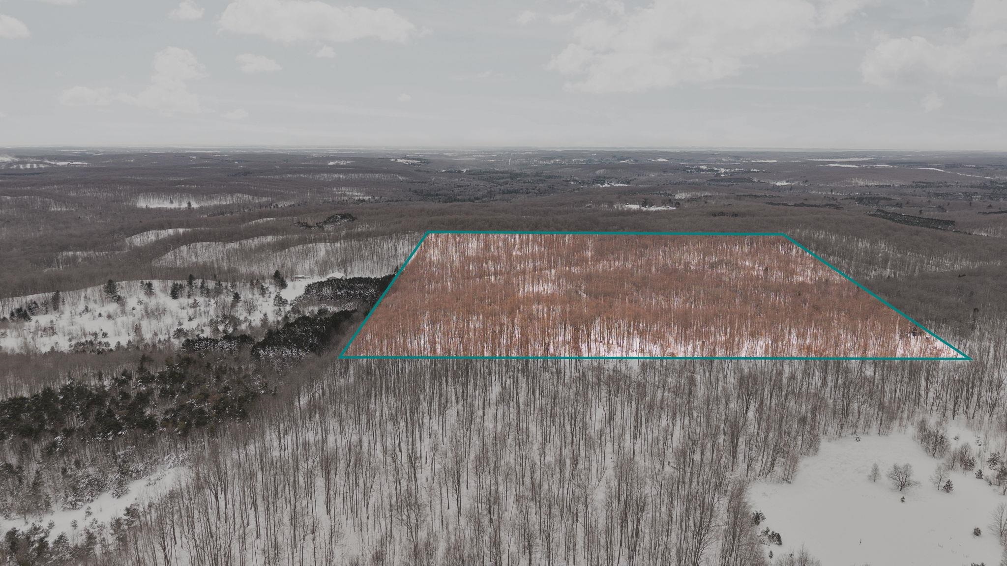 0 Stark Road, Unit LOT: 17 Mancelona, MI 49659 - Photo 6 of 22
