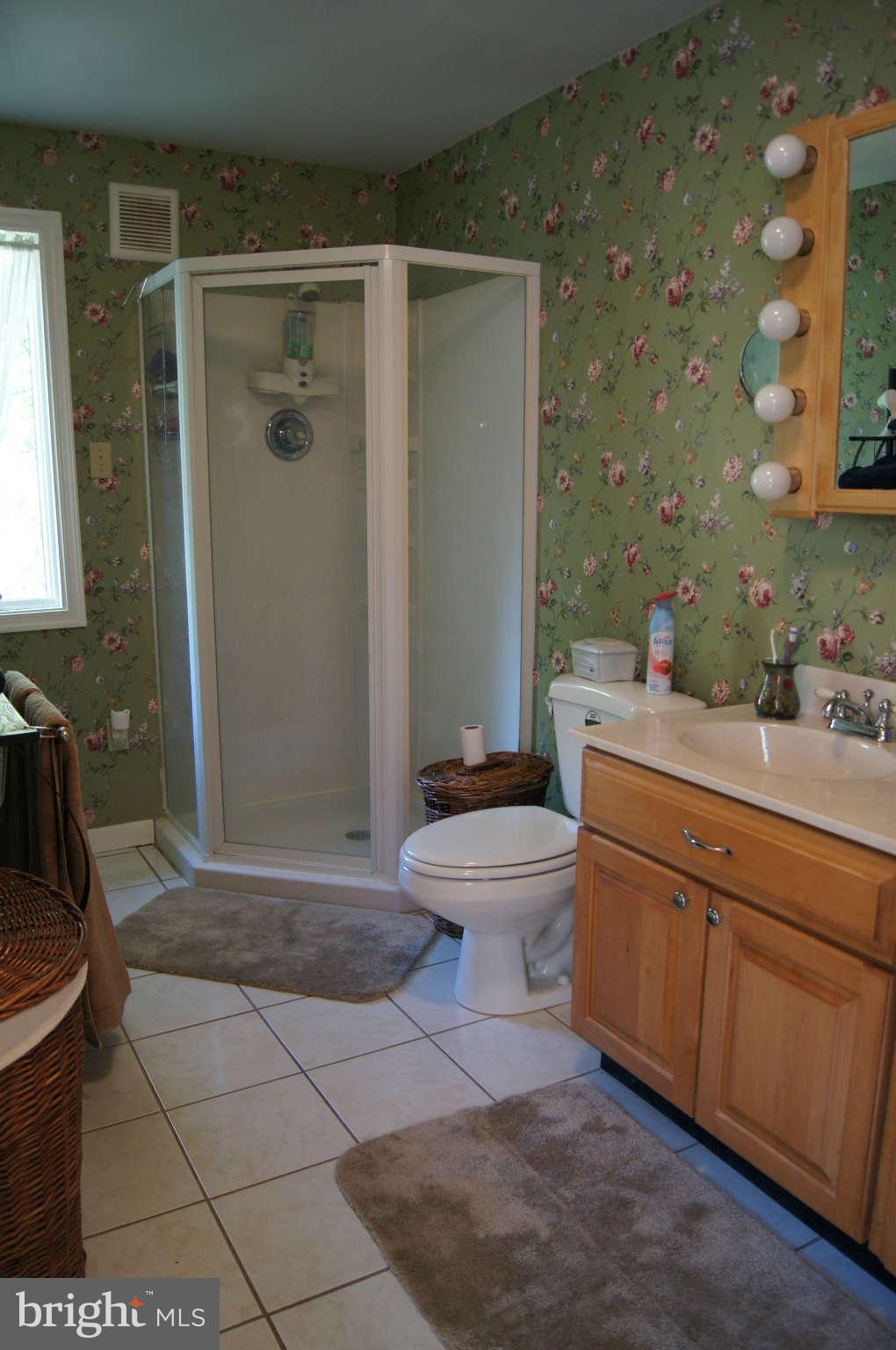 7106 Sheffield Road Baltimore, MD 21212 - Photo 22 of 30 Large master bath