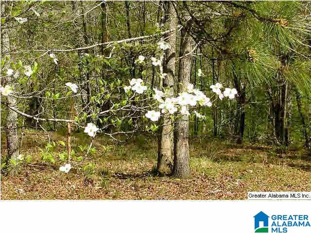 8681 Central Road Warrior, AL 35180 - Photo 2 of 31