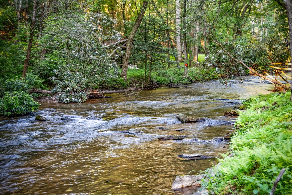2695 Hwy 2 Blue Ridge Blue Ridge, GA 30513 - Photo 20 of 76
