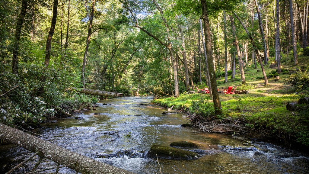 2695 Hwy 2 Blue Ridge Blue Ridge, GA 30513 - Photo 8 of 76