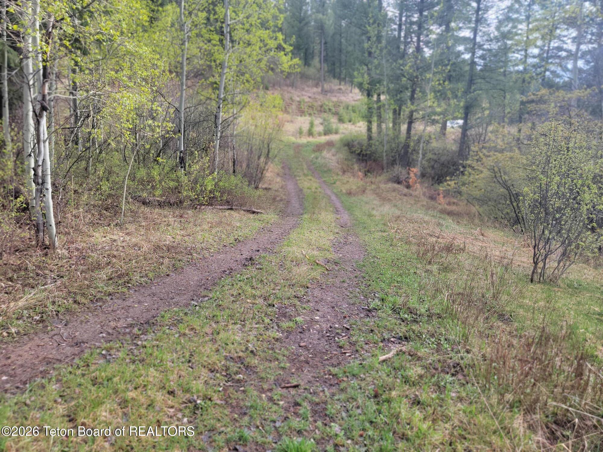 L31-b4 Cutthroat Run Irwin, ID 83428 - Photo 11 of 25 20260411_175454