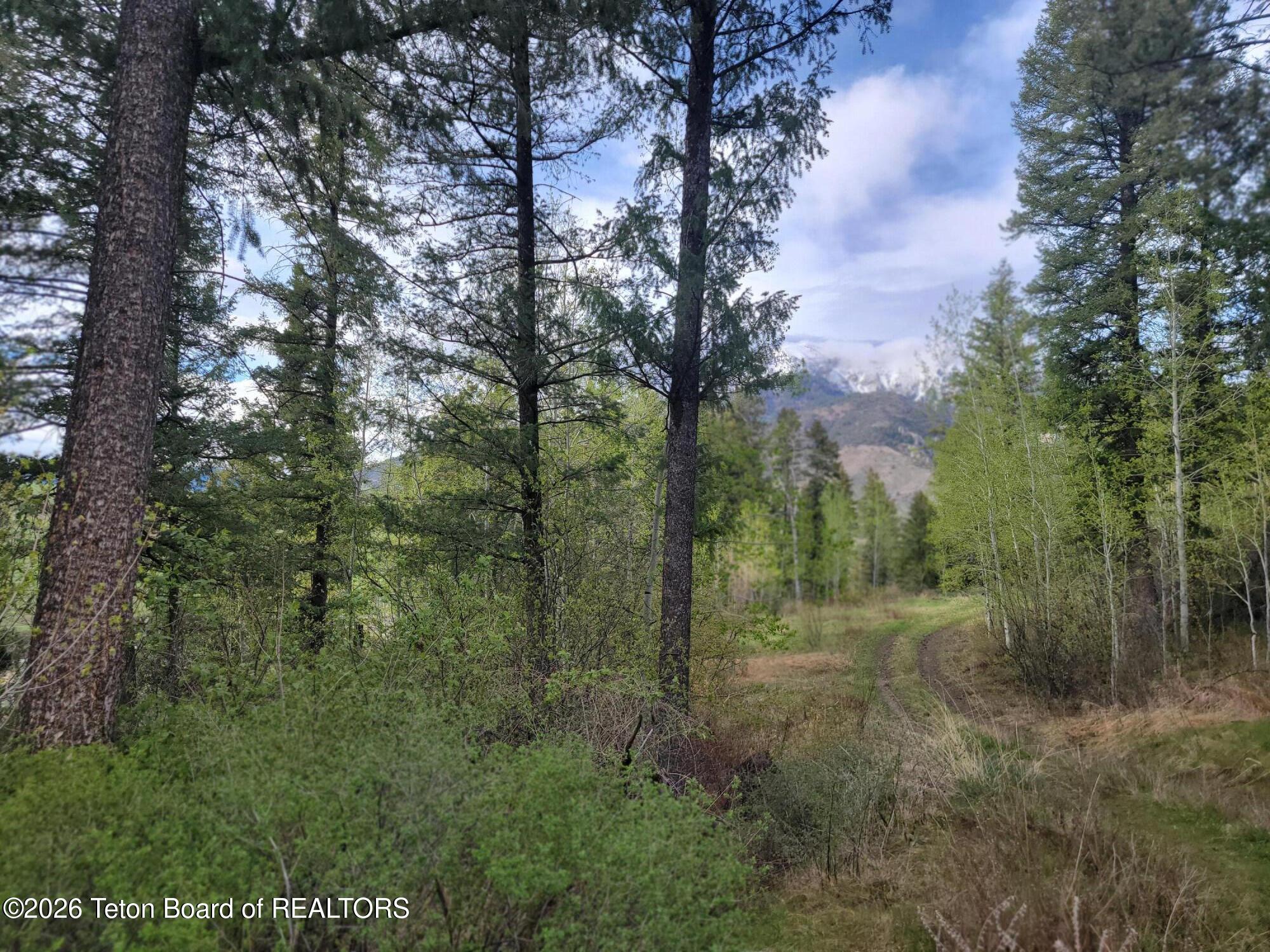 L31-b4 Cutthroat Run Irwin, ID 83428 - Photo 14 of 25 20260411_181517