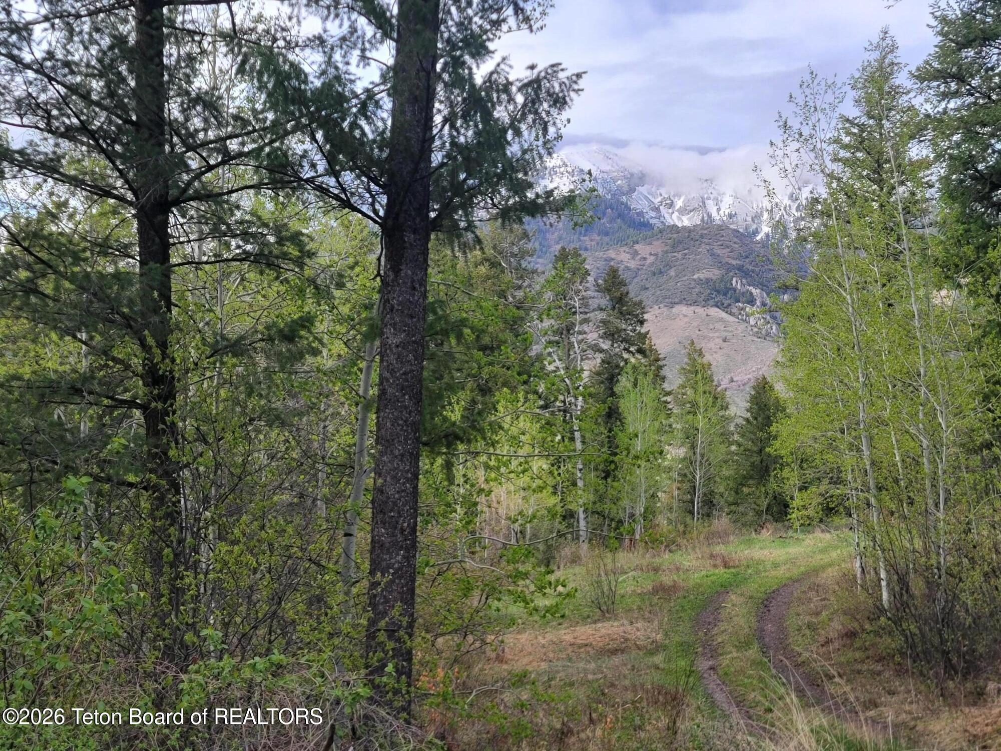 L31-b4 Cutthroat Run Irwin, ID 83428 - Photo 15 of 25 20260411_181524
