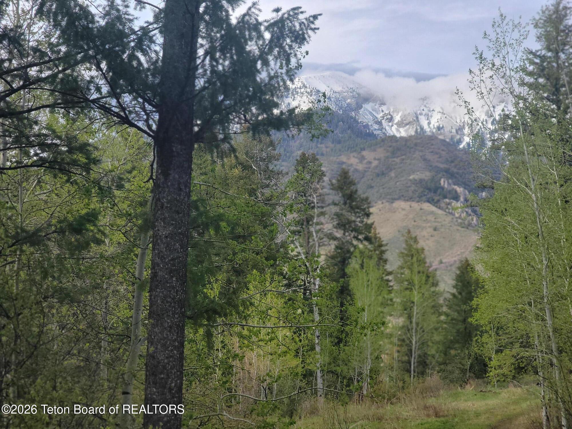 L31-b4 Cutthroat Run Irwin, ID 83428 - Photo 16 of 25 20260411_181536