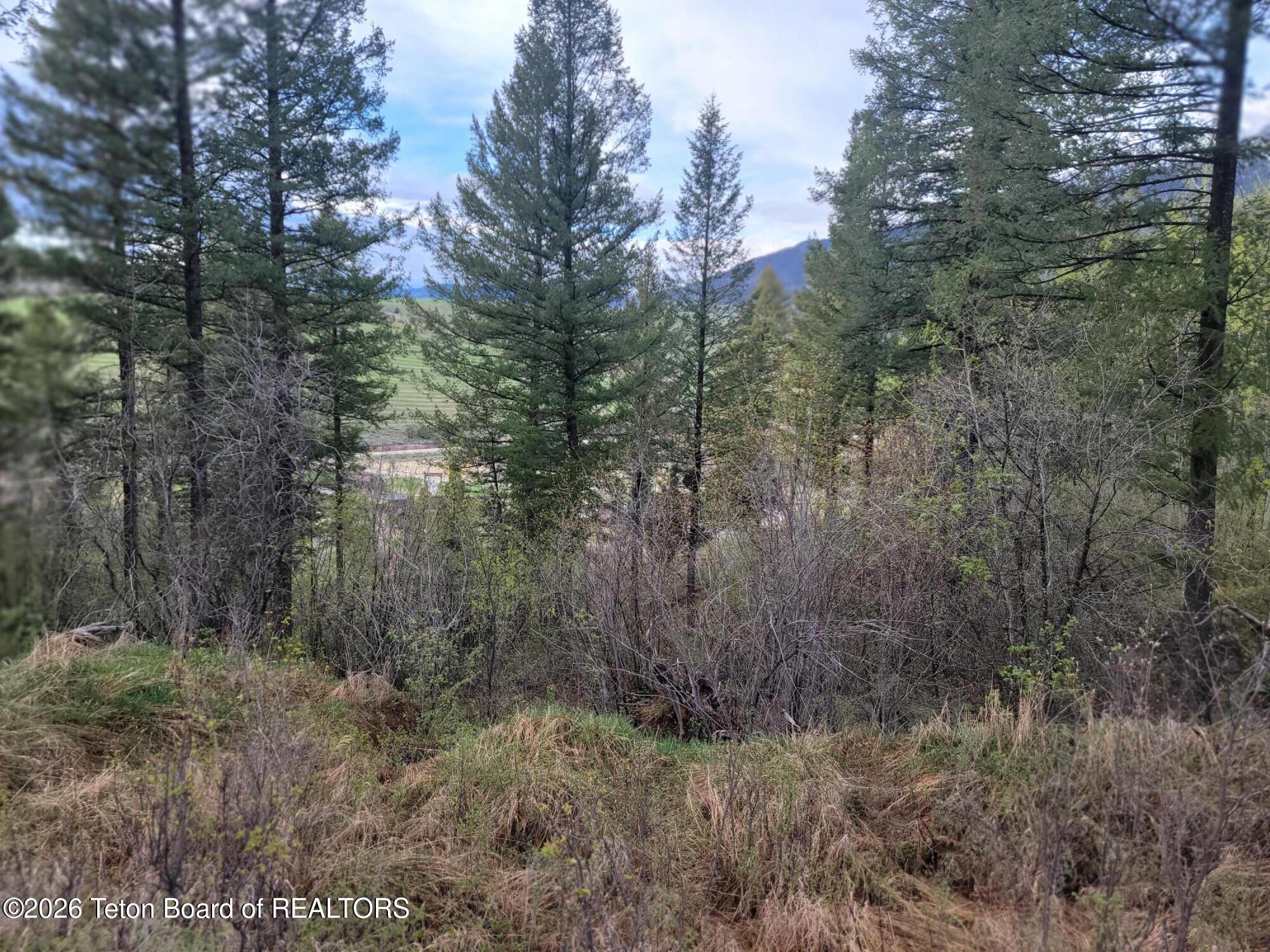 L31-b4 Cutthroat Run Irwin, ID 83428 - Photo 17 of 25 20260411_182720