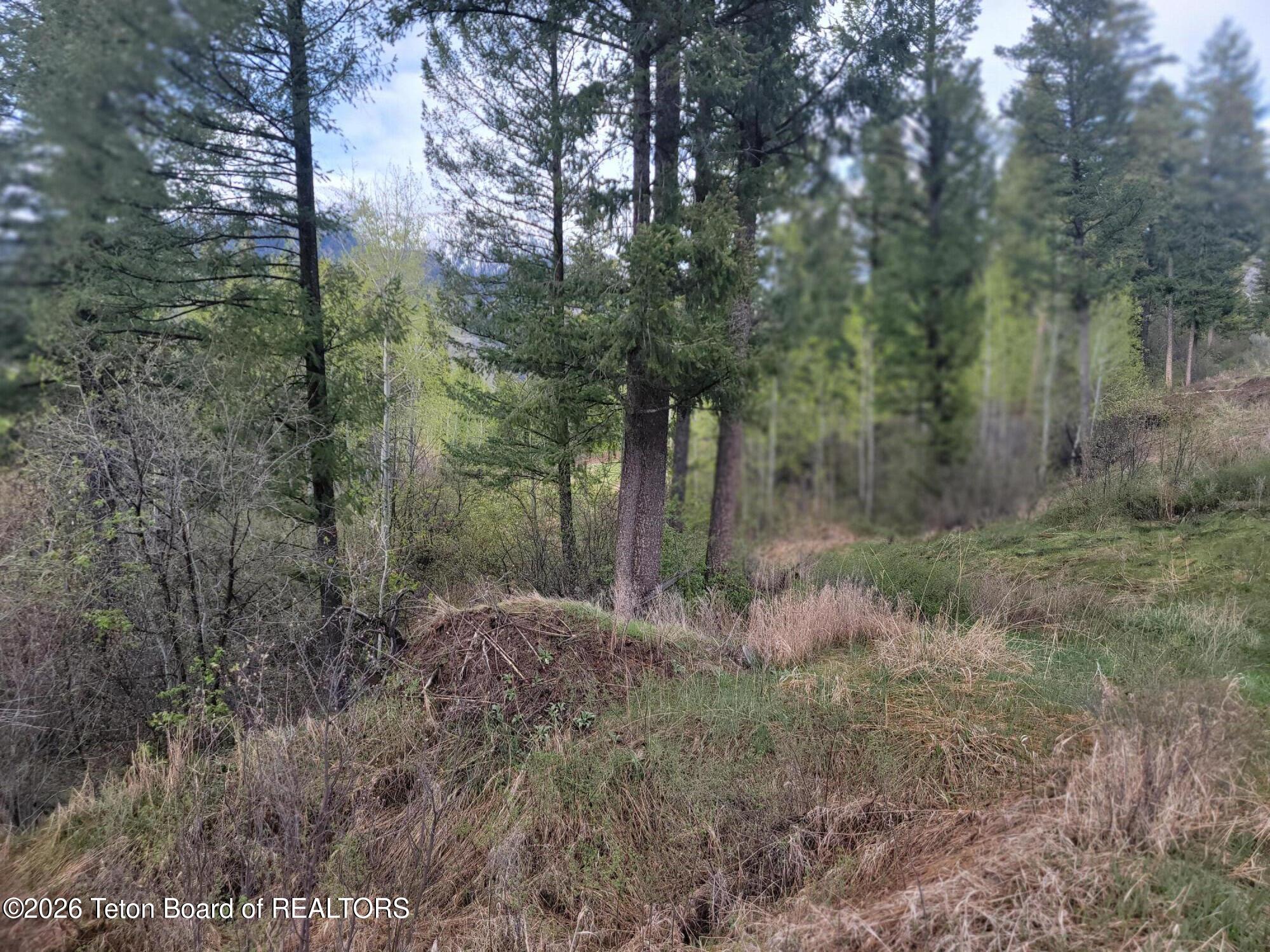 L31-b4 Cutthroat Run Irwin, ID 83428 - Photo 18 of 25 20260411_182724