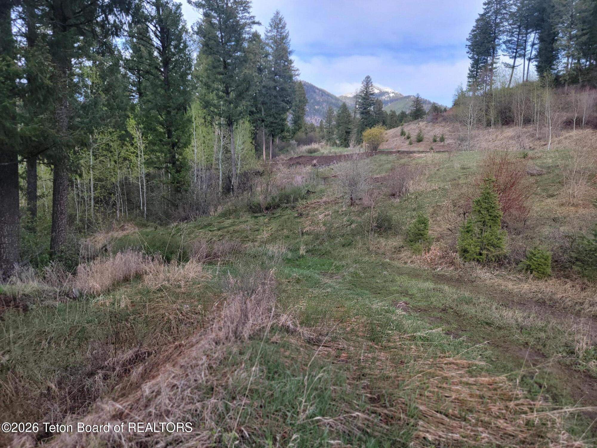L31-b4 Cutthroat Run Irwin, ID 83428 - Photo 19 of 25 20260411_182729
