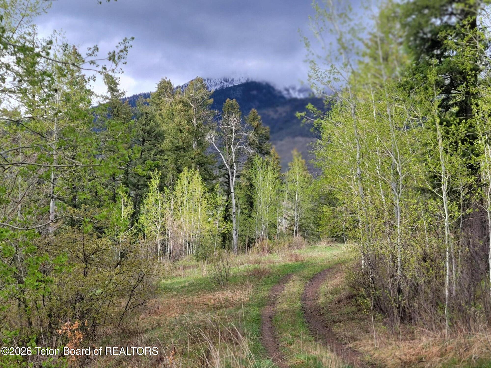 L31-b4 Cutthroat Run Irwin, ID 83428 - Photo 2 of 25 20260411_175114