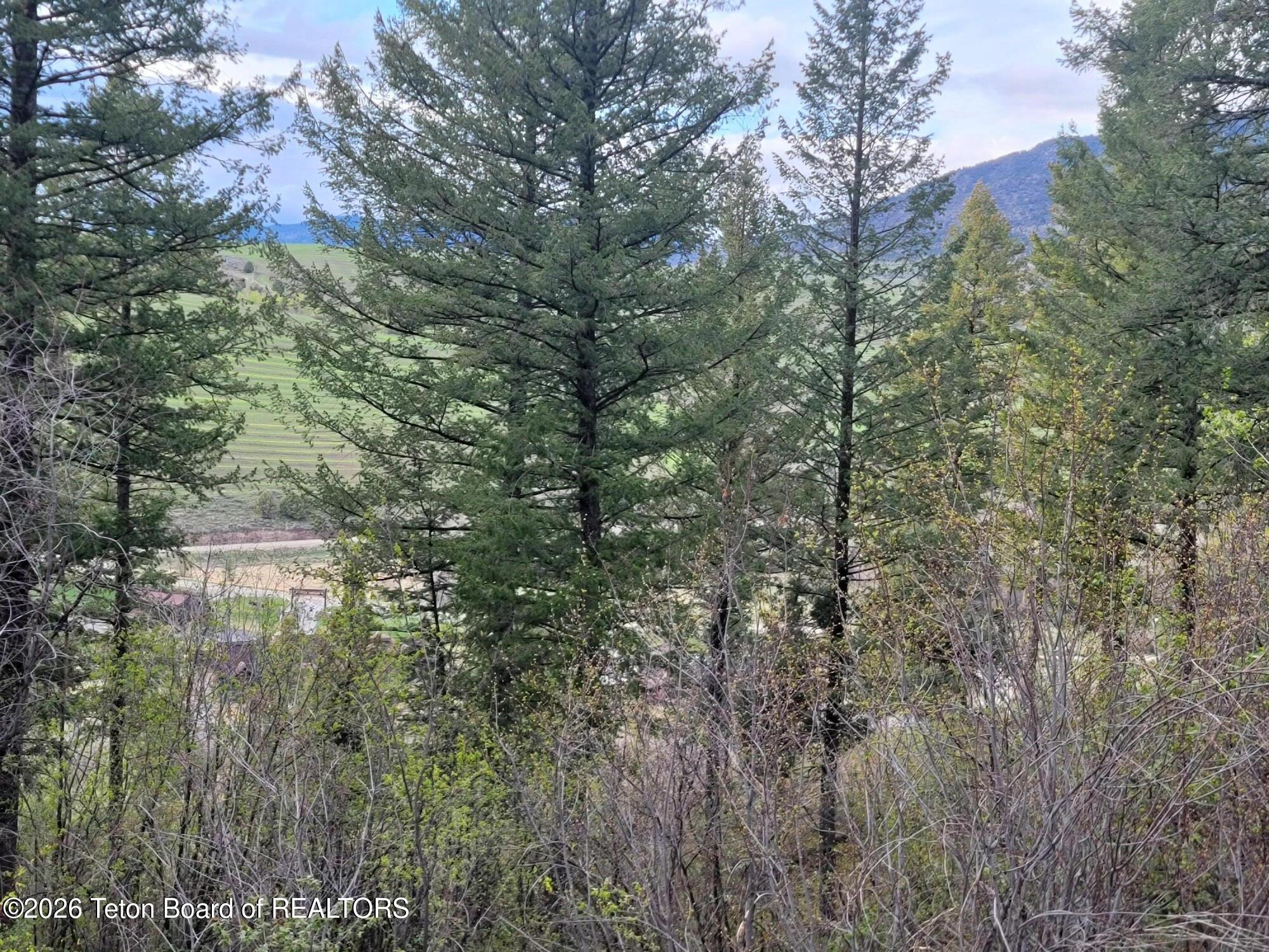 L31-b4 Cutthroat Run Irwin, ID 83428 - Photo 21 of 25 20260411_182751