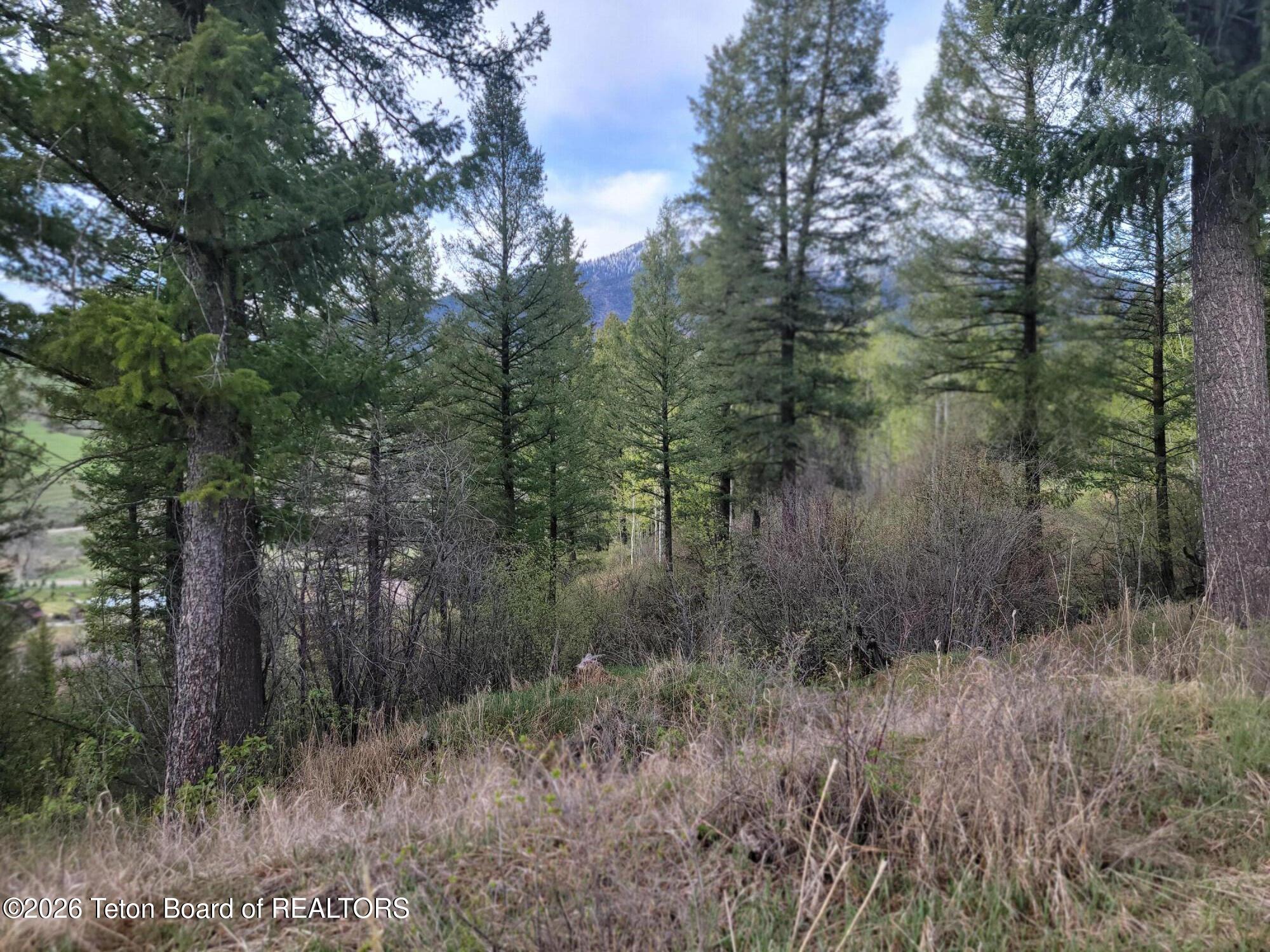 L31-b4 Cutthroat Run Irwin, ID 83428 - Photo 22 of 25 20260411_182850