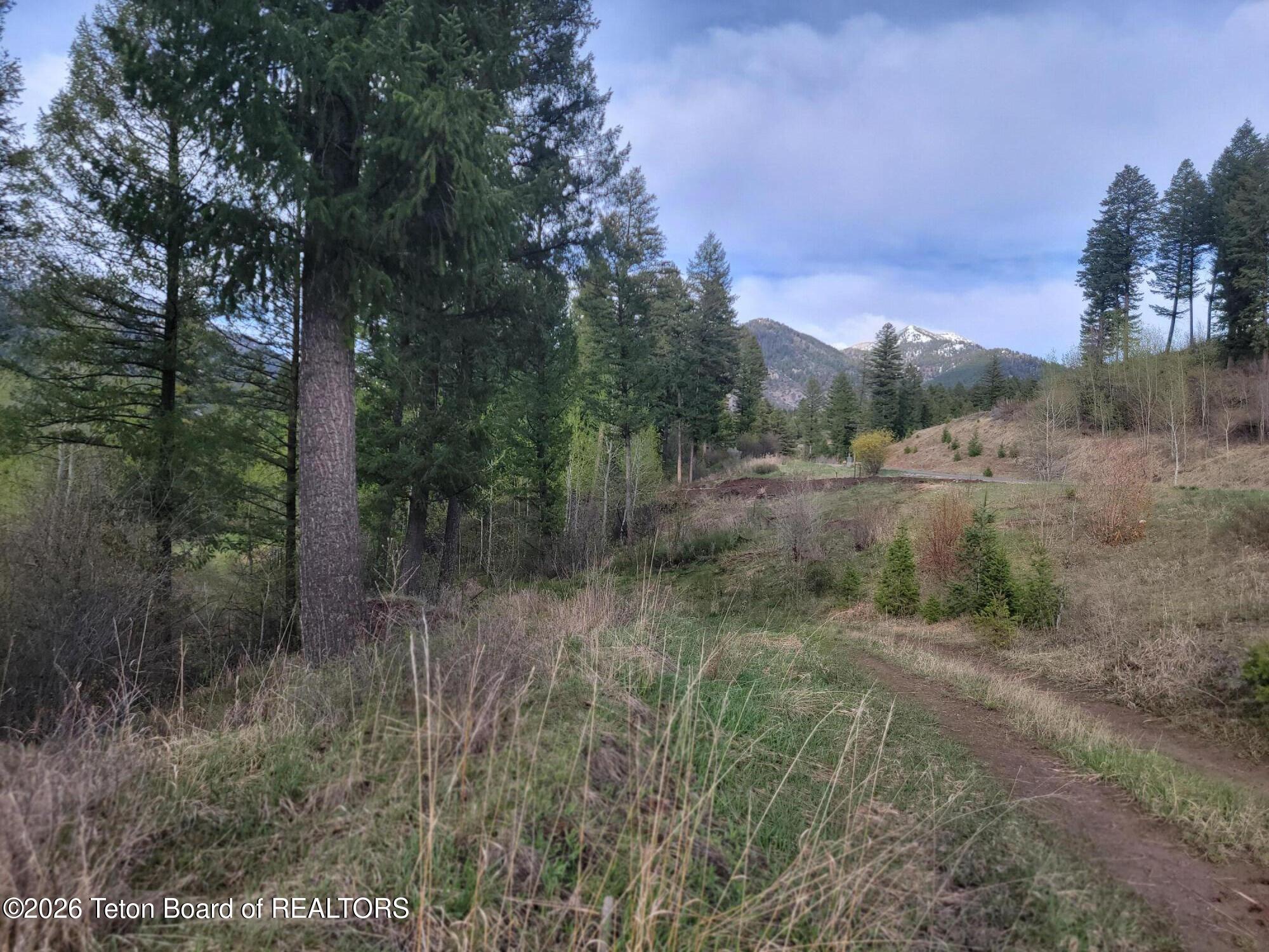 L31-b4 Cutthroat Run Irwin, ID 83428 - Photo 23 of 25 20260411_182857