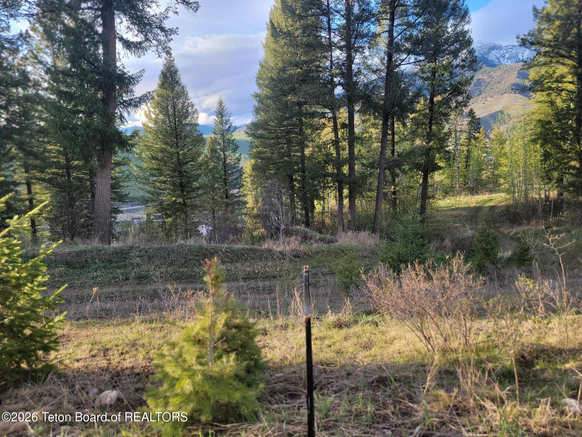 L31-b4 Cutthroat Run Irwin, ID 83428 - Photo 24 of 25 20260411_191744