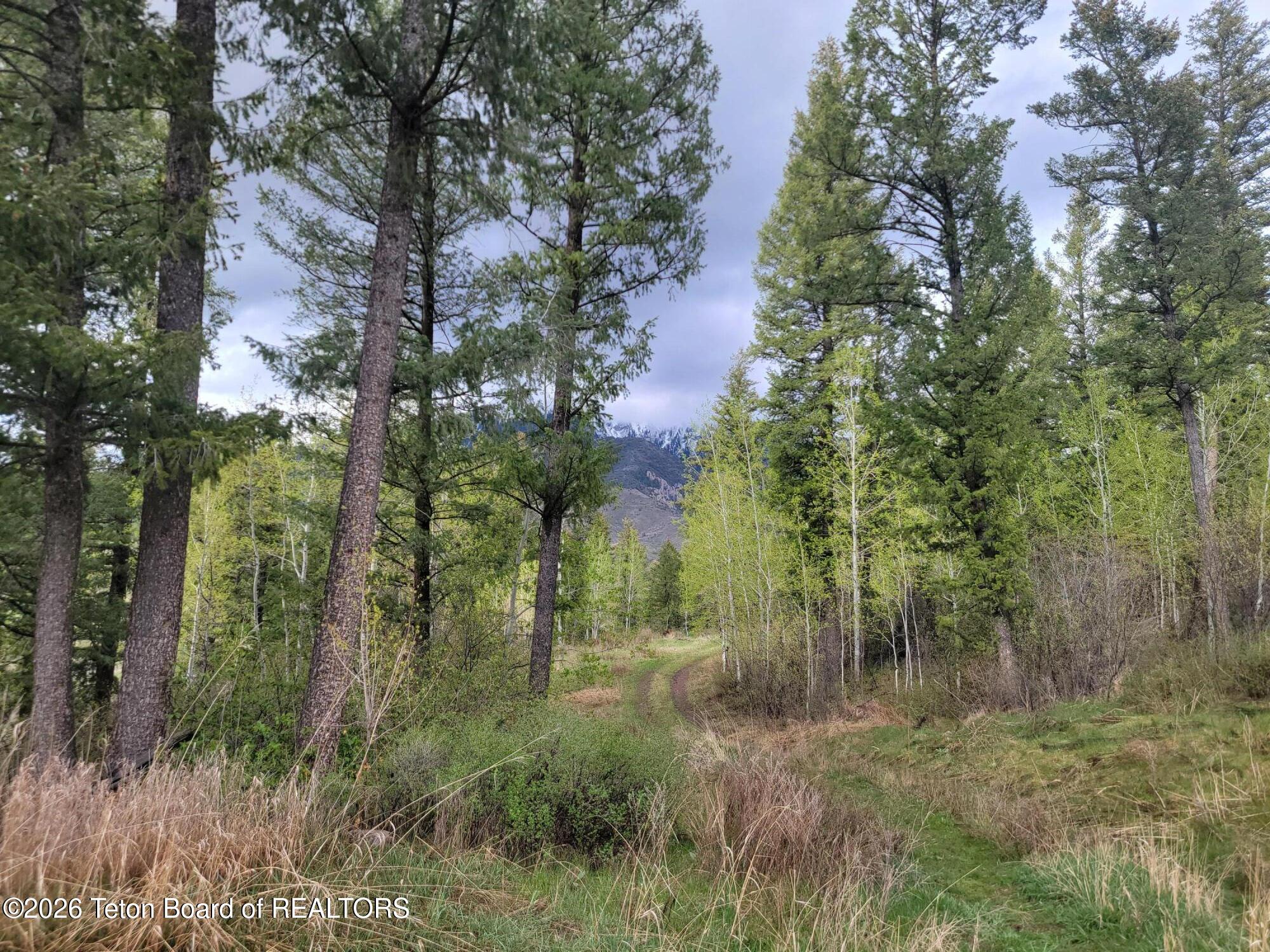 L31-b4 Cutthroat Run Irwin, ID 83428 - Photo 3 of 25 20260411_175034