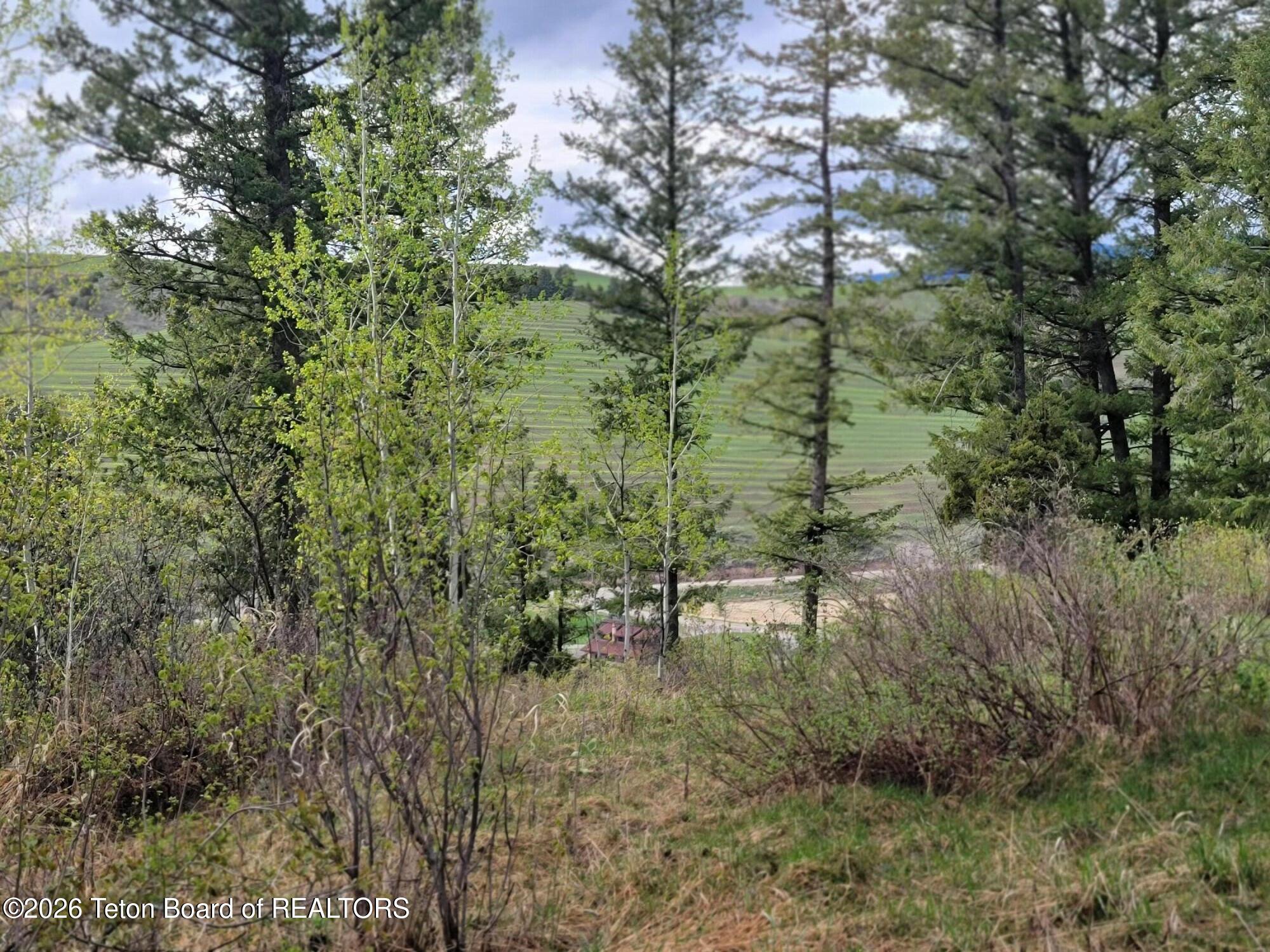 L31-b4 Cutthroat Run Irwin, ID 83428 - Photo 4 of 25 20260411_175214