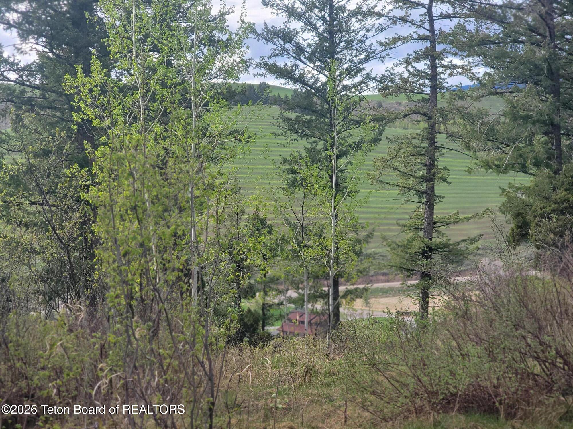 L31-b4 Cutthroat Run Irwin, ID 83428 - Photo 5 of 25 20260411_175220