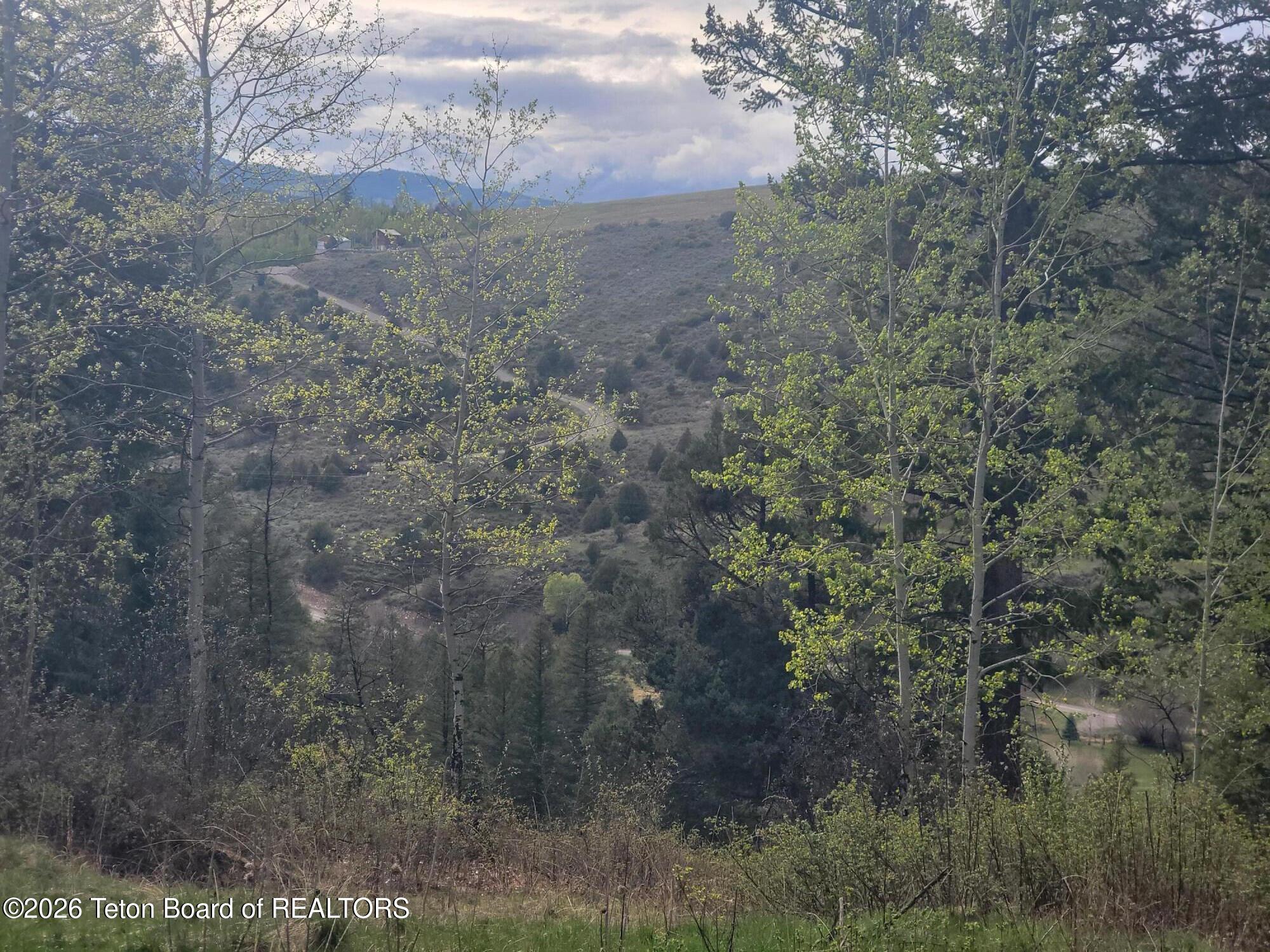 L31-b4 Cutthroat Run Irwin, ID 83428 - Photo 6 of 25 20260411_175325