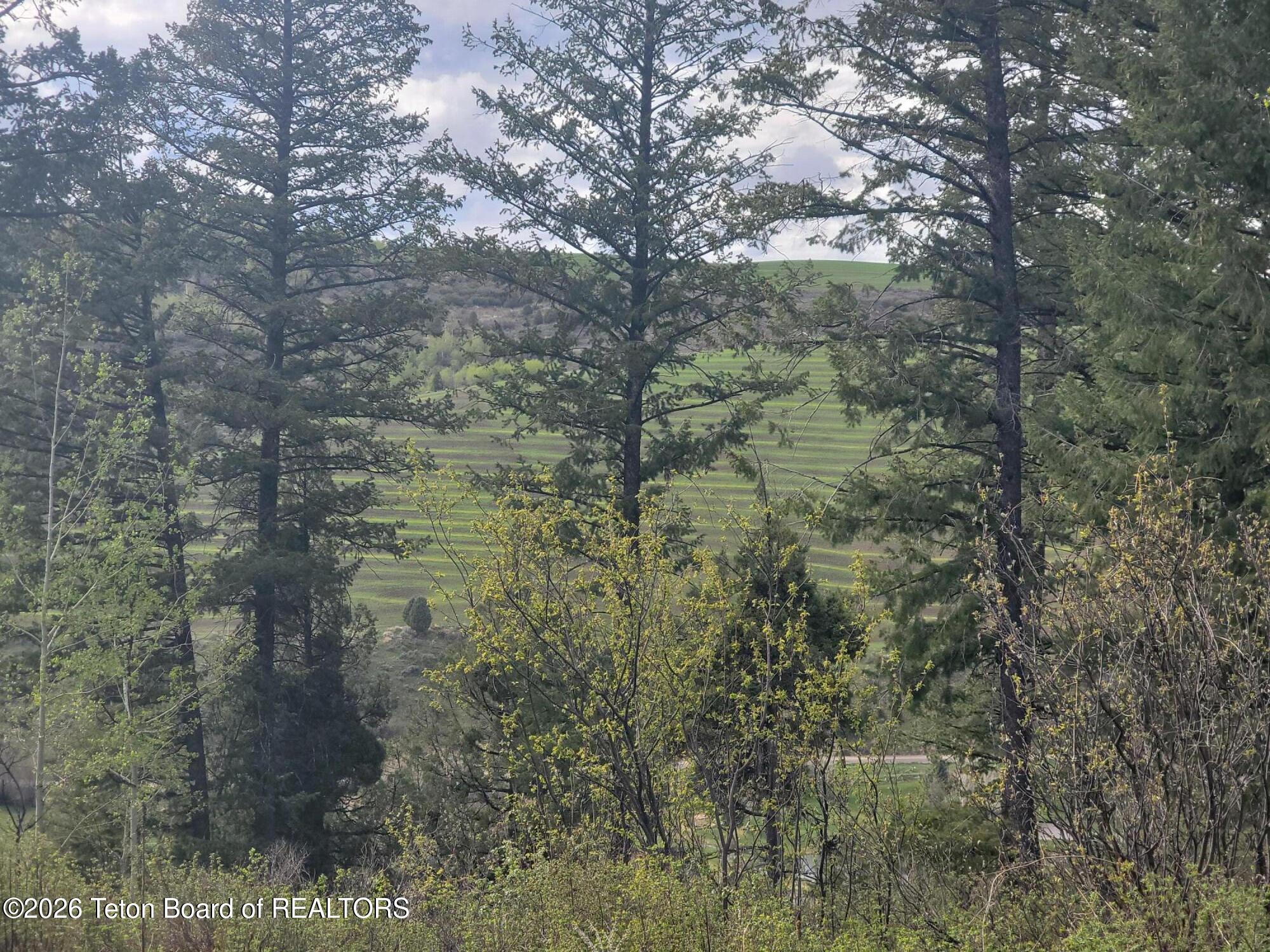 L31-b4 Cutthroat Run Irwin, ID 83428 - Photo 7 of 25 20260411_175330