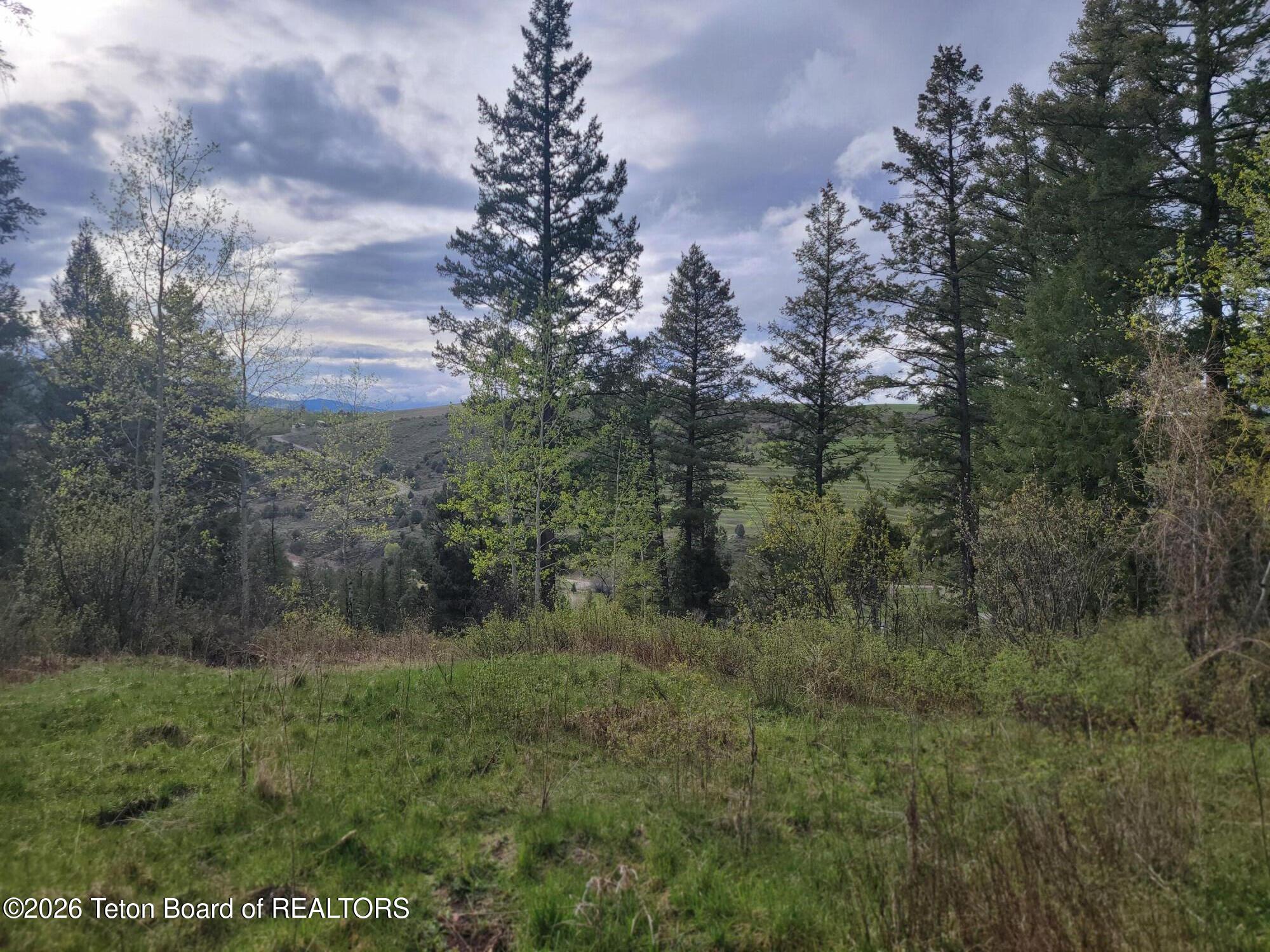 L31-b4 Cutthroat Run Irwin, ID 83428 - Photo 8 of 25 20260411_175339