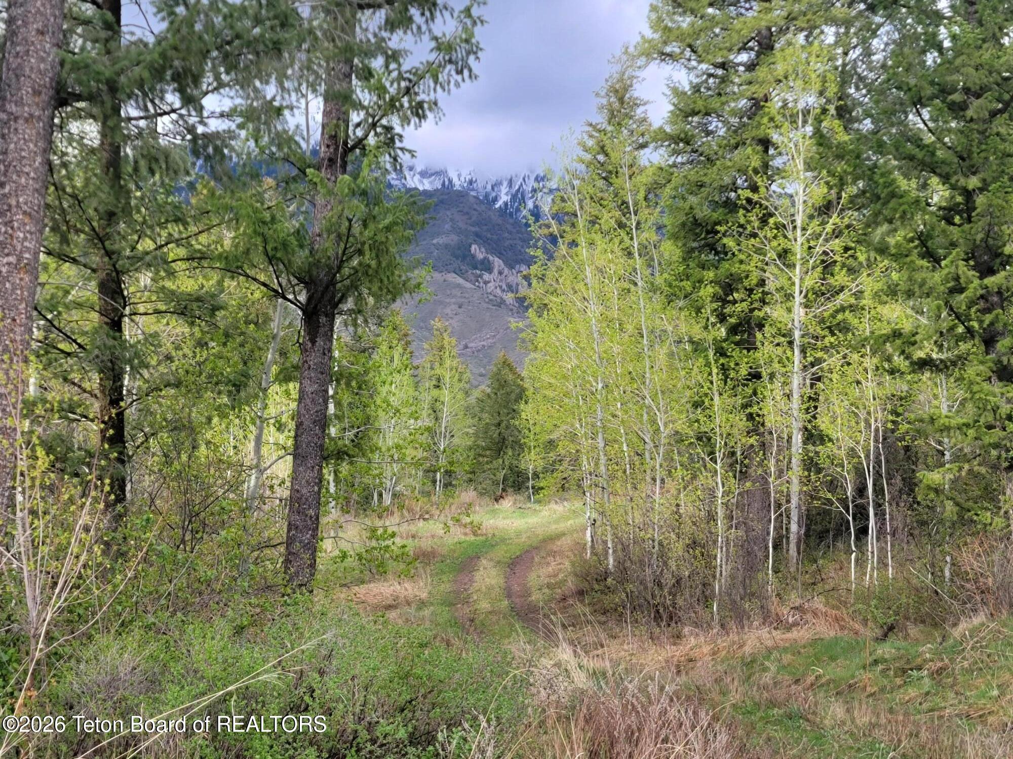 L31-b4 Cutthroat Run Irwin, ID 83428 - Photo 10 of 25 20260411_175051