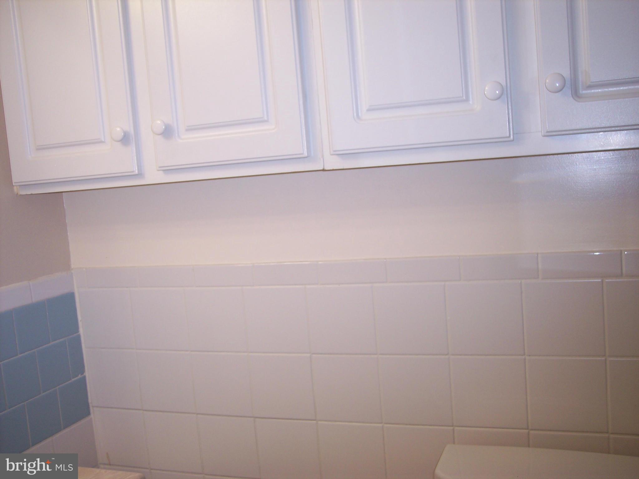 3900 Bel Pre Road, Unit 3 Silver Spring, MD 20906 - Photo 17 of 22 Bath