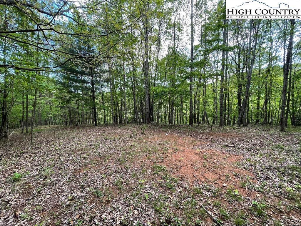Tbd Tbd Edwin Blevins Road Lansing, NC 28643 - Photo 13 of 13