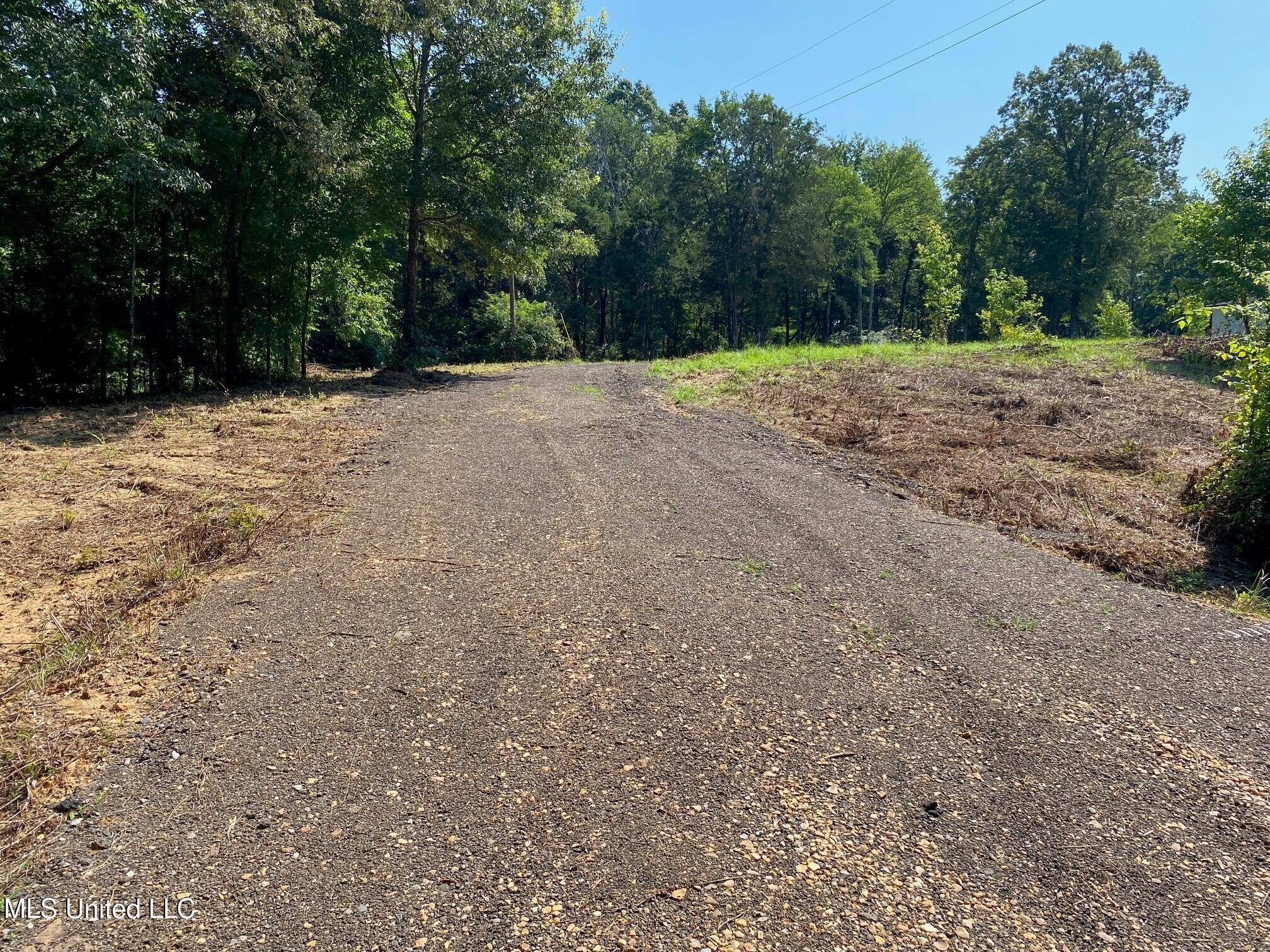 Mt Pleasant Road Byhalia, MS 38611 - Photo 5 of 7 Driveway